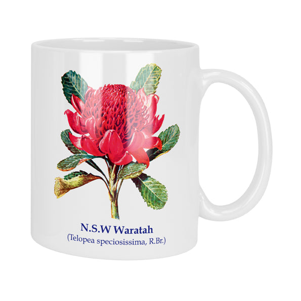 NSW Waratah Flower Floral Mug & Coaster Set